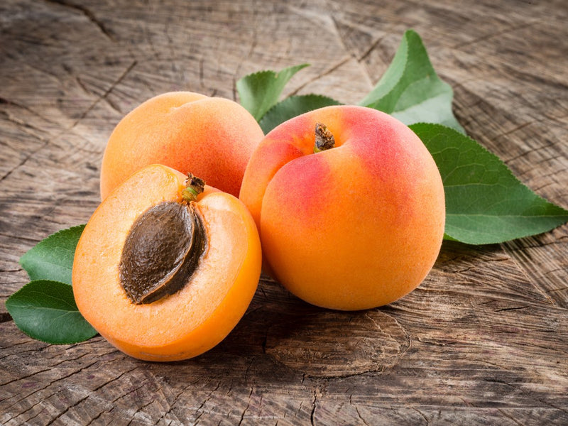Apricot Dark Balsamic Vinegar